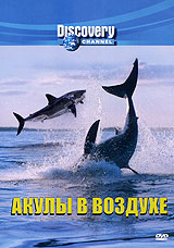Discovery: Акулы в воздухе Discovery: Акулы в воздухеВ укромной южноафриканской бухте обитают удивительные акулы, выпрыгивающие высоко из воды, преследуя добычу. Кинооператор Джефф Керр и исследователь Крисс Фоллоус отправляются к печально известному австралийскому Опасному Рифу, чтобы проверить, способны ли на это морские волки и в других уголках земного шара. Вооружившись муляжом морского котика с видеокамерой внутри, эти смельчаки рискнут превратить австралийских акул в воздушных акробатов, хотя некоторые эксперты утверждают, что здешние зубастые охотницы привыкли вести себя совсем по-другому.