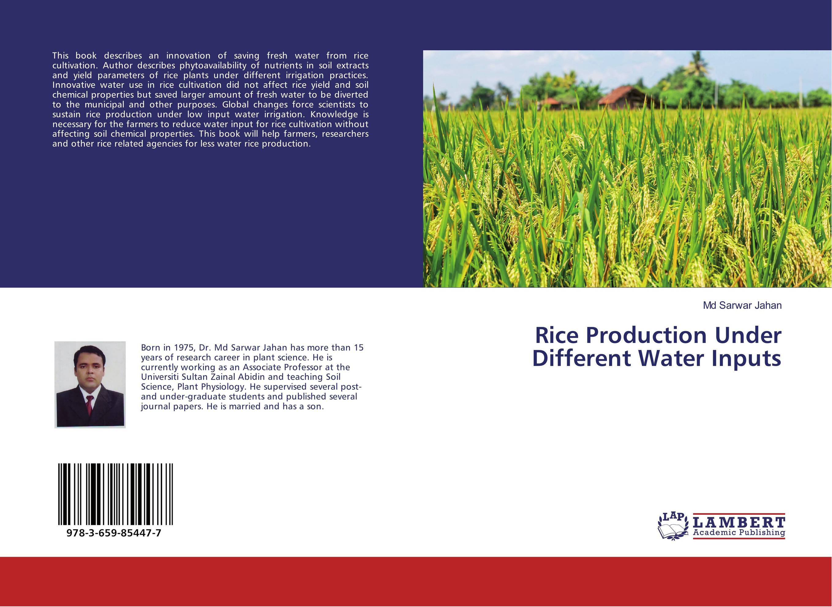 Rice Production Under Different Water Inputs