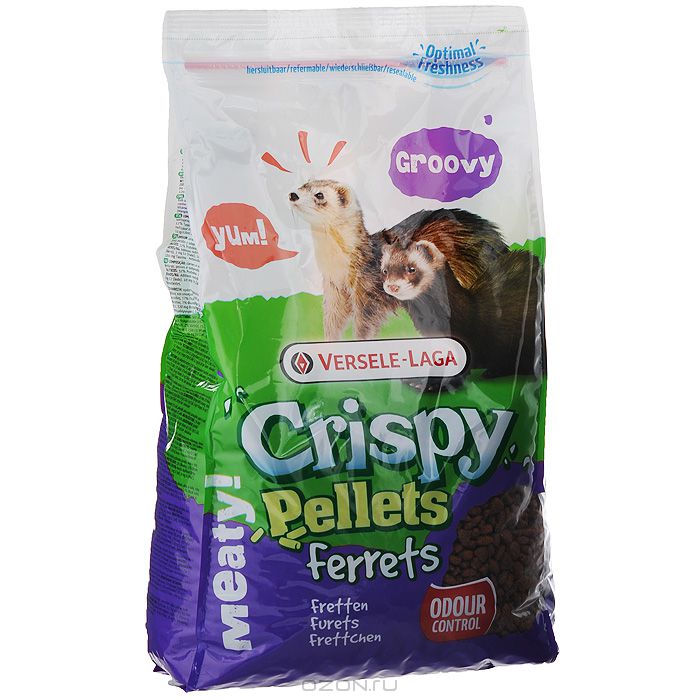 Корм гранулированный для хорьков Versele-Laga Crispy Pellets Ferrets, 700 г0120710 Корм гранулированный для хорьков Versele-Laga Crispy Pellets Ferrets, 700 г0120710Вкусный и богатый протеинами корм Versele-Laga Crispy Pellets Rats & Mice для крыс и мышей - это полноценный корм в форме крупных гранул, богатых злаками, которые надолго займут вашего питомца. Формула корма поможет избежать выборочного питания у зверьков. Благодаря содержанию гранул Happy & Healthy корм имеет все необходимые нутриенты для долгой и здоровой жизни вашей крысы или мыши. Специальная форма гранул и повышенное содержание клетчатки поддержат здоровье зубов и кишечника, а экстракт юкки нейтрализует неприятный запах в клетке питомца. Состав: зерна, экстракт растительного протеина, субпродукты растительного происхождения, травы, семена, минералы, фруктоолигосахариды, экстракт юкки.Основной анализ: протеин 20%, жир 4%, клетчатка 5,5%, зола 6,5%, кальций 1,1%, фосфор 0,8%.Добавки: витамин A 17000 МЕ, витамин D3 2000 МЕ, витамин E 135 мг, витамин C 100 мг, железо 170 мг, йод 3,6 мг, медь 17 мг, марганец 128 мг, цинк 120 мг, селен 0,34 мг, антиоксиданты, консерванты. Вес: 700 г. Товар сертифицирован.