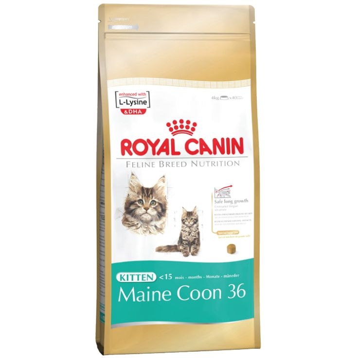 Корм сухой Royal Canin Maine Coon Kitten, для котят породы мейн-кун в возрасте от 3 до 15 месяцев, 2 кг543020 Корм сухой Royal Canin Maine Coon Kitten, для котят породы мейн-кун в возрасте от 3 до 15 месяцев, 2 кг543020Сухой корм Royal Canin Maine Coon Kitten - полнорационный корм для котят породы мейн-кун в возрасте от 3 до 15 месяцев. Фаза роста котят мейн-куна в силу их уникального экстерьера более продолжительна, чем у кошек других пород. Удивительный факт: трехмесячный мейн-кун весит около 2 кг — почти вдвое больше, чем котята других пород в этом возрасте! Длительный период роста. В силу своей особой комплекции котенок породы мейн-кун достигает зрелости только к 15 месяцам или даже позже. Длительный период роста означает, что диета для котят должна отвечать их специфическим потребностям в энергии: это обеспечит гармоничное и сбалансированное развитие. Для того чтобы обеспечить максимально сбалансированное развитие, следует заказать онлайн специальный корм, подходящий для этой породы. Чемпион по весу среди котят. Уже очень скоро котенок мейн-куна опережает по весу своих сверстников — представителей других пород кошек. Постепенно формируются массивные кости и мощные мышцы....