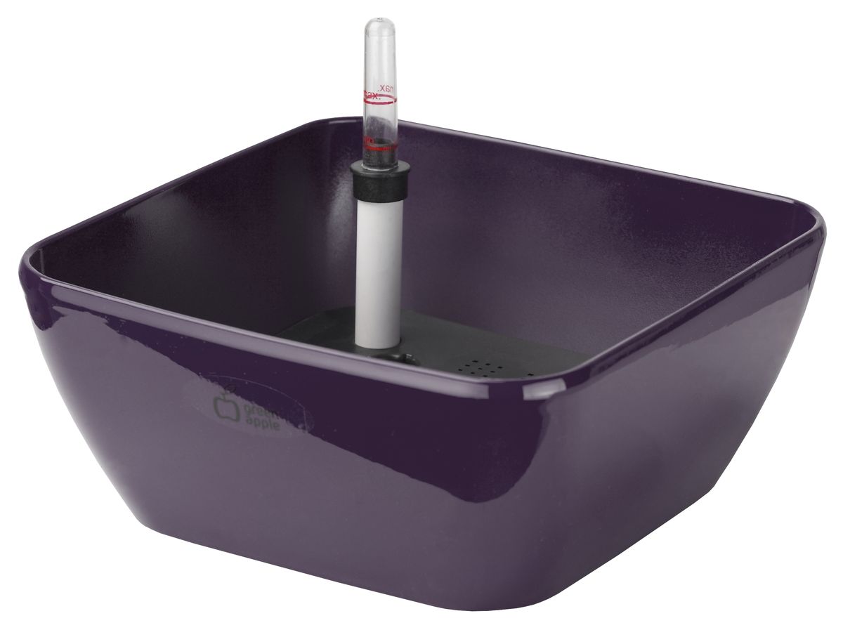 Бонсайница Green Apple, с системой автополива, цвет: сливовый, 28 х 28 х 11,5 смGPMS20-L-P Бонсайница Green Apple, с системой автополива, цвет: сливовый, 28 х 28 х 11,5 смGPMS20-L-PБонсайница Green Apple, изготовленная из ПВХ, полистирола и полипропилена, представляет собой кашпо с уникальной системой автополива, благодаря которой корневая система растения непрерывно снабжается влагой из резервуара. Уровень воды в резервуаре контролируется с помощью специального индикатора. В зависимости от растения, воды хватает на 2-12 недель. Изделие специально предназначено для выращивания бонсай.