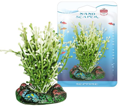 Растение CAULERPA 7см с грузом бело-зеленое. КАУЛЕРПАFIPP-0110 Растение CAULERPA 7см с грузом бело-зеленое. КАУЛЕРПАFIPP-0110Распространение: тропические моря. Использование: эффектны вариант водоросли для переднего плана.
