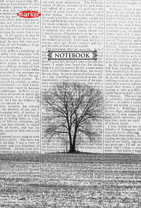 Записная книжка Soledad, MarkerM-630664N-4 Записная книжка Soledad, MarkerM-630664N-4Уникальность технологии крепления- прошивка цветной шелковой нитью по сгибу изделия (отдельный эффектный элемент дизайна + повышенная прочность и удобство в использование). Скругленные углы надолго сохраняют отличный вид изделия. Авторский дизайн(модная и актуальная тема, востребованная покупательским спросом).