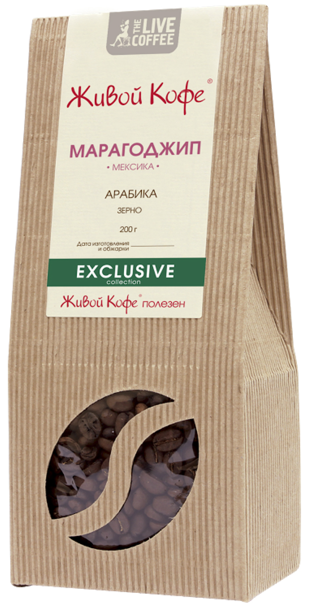 Живой кофе Марагоджип кофе в зернах, 200 гУПП00000207 Живой кофе Марагоджип кофе в зернах, 200 гУПП00000207Живой кофе Марагоджип - это кофе с огромными маслянистыми зернами, которые превосходят размерами известные сорта арабики в 3.5 раза. В этом сорте сплелись традиции и новаторство, ручной труд и высокие технологии. Один из самых популярных сортов кофе в мире.
