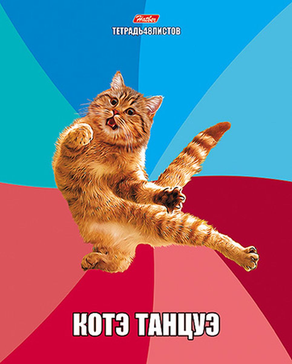 Hatber Тетрадь Котэ танцуэ 48 листов в клетку48Т5В1_14744 Hatber Тетрадь Котэ танцуэ 48 листов в клетку48Т5В1_14744Тетрадь Hatber Котэ танцуэ подойдет для школьников и студентов. Обложка, выполненная из мелованного картона, позволит сохранить тетрадь в аккуратном состоянии на протяжении всего времени использования. Внутренний блок тетради, соединенный двумя металлическими скрепками, состоит из 48 листов белой бумаги. Стандартная линовка в клетку дополнена красными полями.