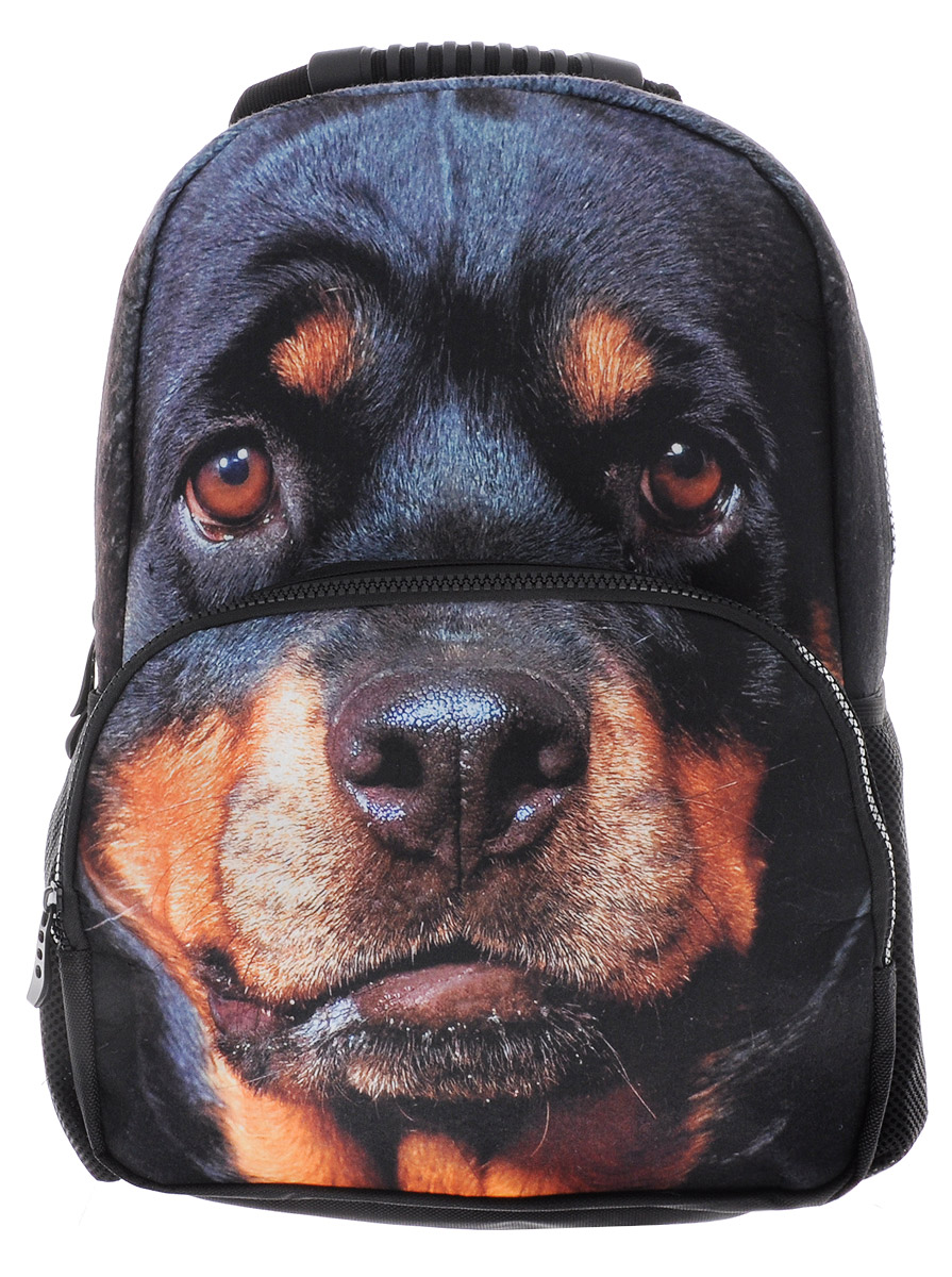 Hatber Рюкзак детский Security Dog72523WD Hatber Рюкзак детский Security Dog72523WDСтильный детский рюкзак Hatber Security Dog выполнен из полиэстера и оформлен художественной печатью с изображением собаки породы ротвейлер.Рюкзак имеет одно основное отделение, закрывающееся на застежку-молнию с двумя бегунками. На лицевой стороне, рюкзака размещен накладной карман на молнии, внутри которого предусмотрен еще один накладной карман на липучке. По бокам изделия расположены два накладных сетчатых кармашка.Конструкция спинки дополнена противоскользящей сеточкой для предотвращения запотевания спины. Мягкие широкие лямки позволяют легко и быстро отрегулировать рюкзак в соответствии с ростом. Анатомическая форма лямок обеспечивает более плотную фиксацию рюкзака, предотвращая перенапряжение мышц спины. Рюкзак оснащен удобной эргономичной ручкой для переноски в руке.Этот рюкзак можно использовать школьникам, для повседневных прогулок, отдыха и спорта, а также как элемент вашего имиджа.Рекомендуемый возраст: от 6 лет.