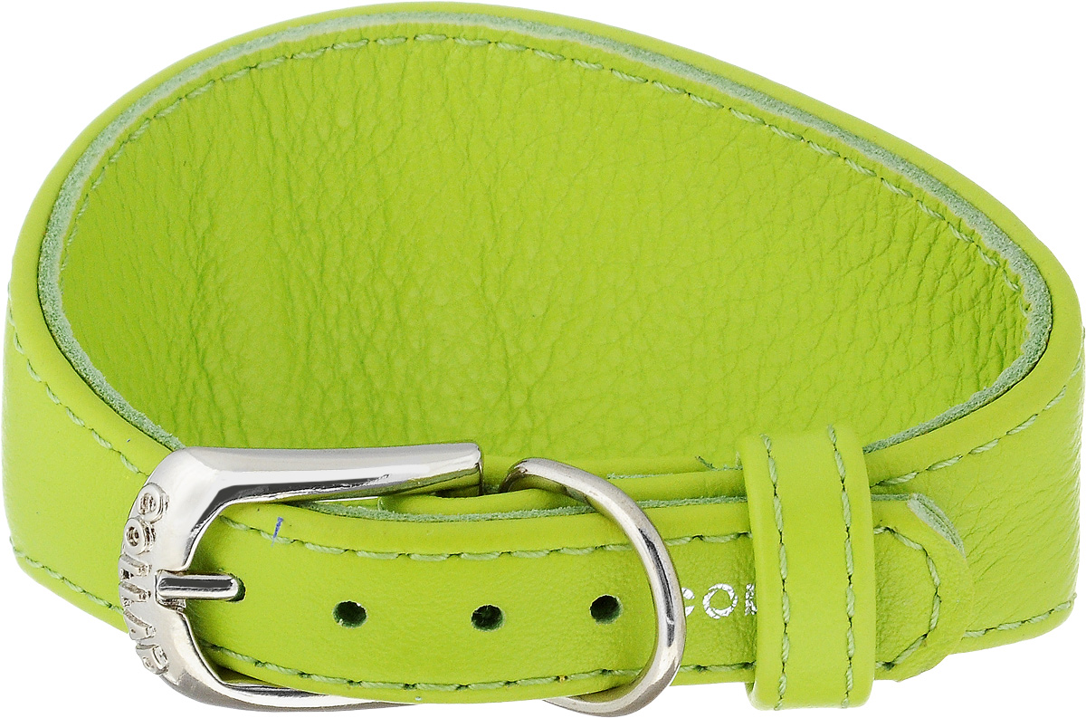 Ошейник для борзых собак CoLLaR Glamour, цвет: салатовый, ширина 1,5 см, обхват шеи 23-27 см0120710 Ошейник для борзых собак CoLLaR Glamour, цвет: салатовый, ширина 1,5 см, обхват шеи 23-27 см0120710Ошейник для борзых собак CoLLaR Glamour, выполненный из натуральной кожи, устойчив к влажности и перепадам температур. Крепкие металлические элементы делают ошейник надежным и долговечным.Изделие отличается высоким качеством, удобством и универсальностью.Размер ошейника регулируется при помощи пряжки, зафиксированной на одном из 5 отверстий. Минимальный обхват шеи: 23 см. Максимальный обхват шеи: 27 см. Минимальная ширина: 1,5 см.Максимальная ширина: 5 см.