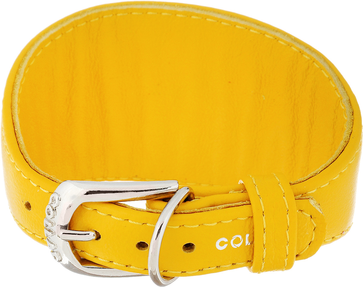 Ошейник для борзых CoLLaR Glamour, цвет: желтый, ширина 1,5 см, обхват шеи 23-27 см0120710 Ошейник для борзых CoLLaR Glamour, цвет: желтый, ширина 1,5 см, обхват шеи 23-27 см0120710Ошейник для борзых собак CoLLaR Glamour, выполненный из натуральной кожи, устойчив к влажности и перепадам температур. Крепкие металлические элементы делают ошейник надежным и долговечным.Изделие отличается высоким качеством, удобством и универсальностью.Размер ошейника регулируется при помощи пряжки, зафиксированной на одном из 5 отверстий. Минимальный обхват шеи: 23 см. Максимальный обхват шеи: 27 см. Минимальная ширина: 1,5 см.Максимальная ширина: 5 см.