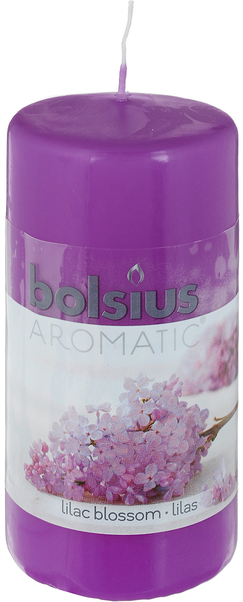 Свеча ароматическая Bolsius Сирень, 6 х 6 х 11,5 см103626640151 Свеча ароматическая Bolsius Сирень, 6 х 6 х 11,5 см103626640151Свеча ароматическая Bolsius Сирень создаст в доме атмосферу тепла и уюта. Свеча приятно смотрится в интерьере, она безопасна и удобна в использовании. Свеча создаст приятное мерцание, а сладкий манящий аромат окутает вас и подарит приятные ощущения.