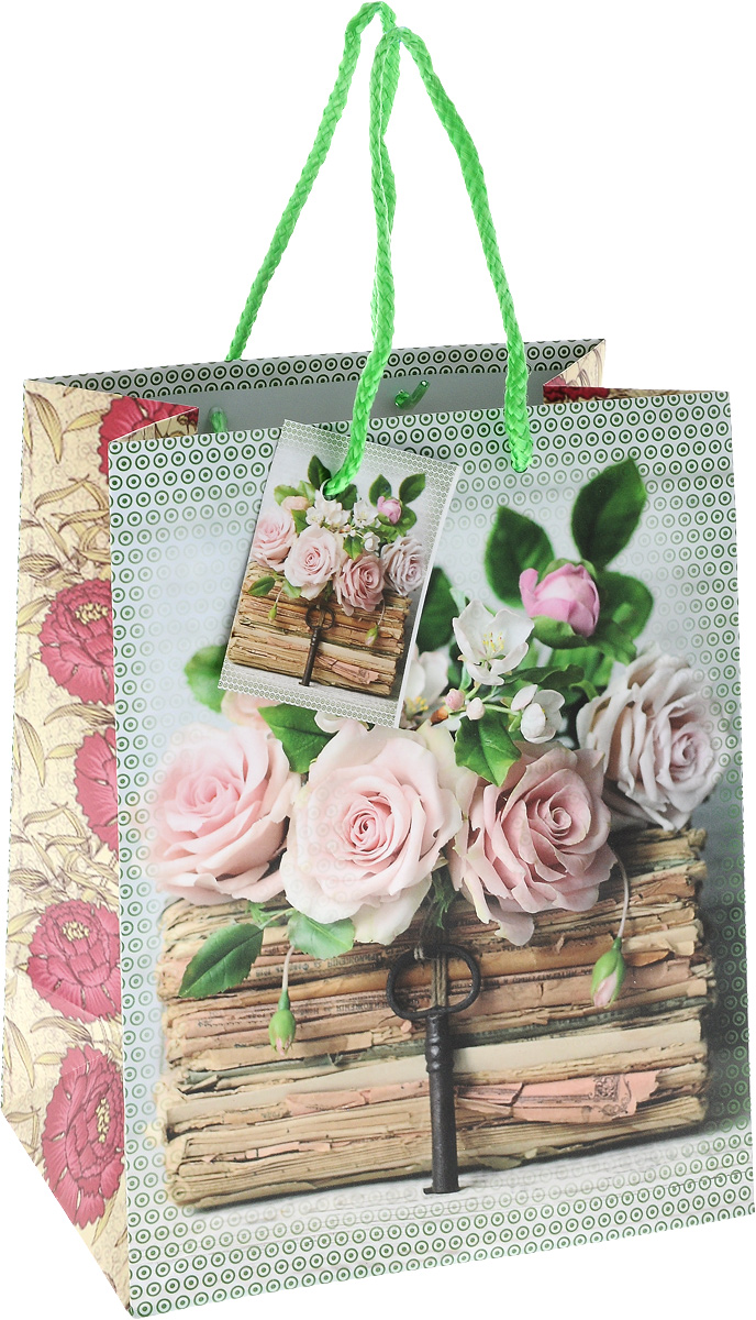 Пакет подарочный Magic Home Книги и розы, 17,8 х 22,9 х 9,8 см44174 Пакет подарочный Magic Home Книги и розы, 17,8 х 22,9 х 9,8 см44174Подарочный пакет Magic Time Книги и розы, изготовленный из плотной бумаги, станет незаменимым дополнением к выбранному подарку. Для удобной переноски на пакете имеются две ручки из шнурков. Подарок, преподнесенный в оригинальной упаковке, всегда будет самым эффектным и запоминающимся. Окружите близких людей вниманием и заботой, вручив презент в нарядном, праздничном оформлении.