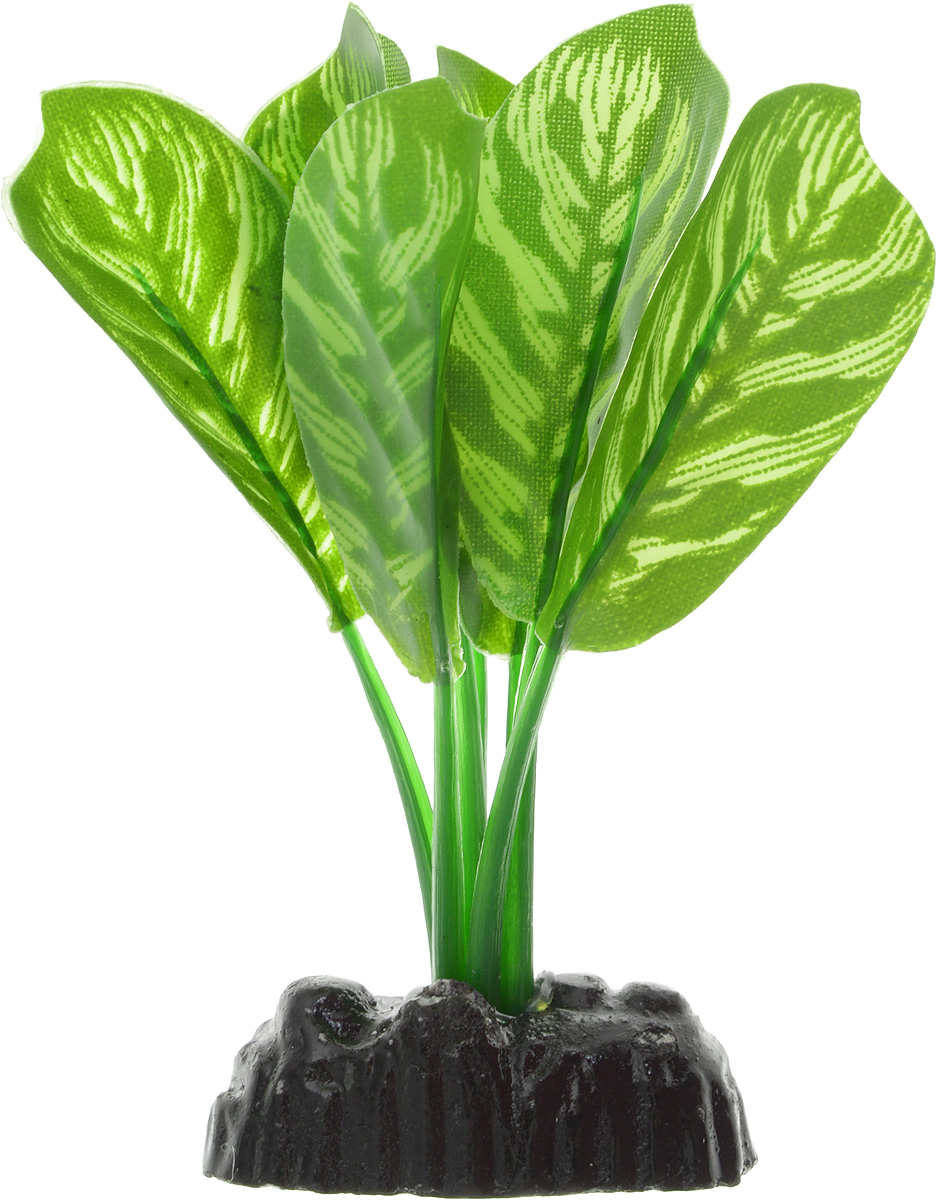 Растение для аквариума Barbus Диффенбахия тигровая, шелковое, высота 10 смPlant 036/10 Растение для аквариума Barbus Диффенбахия тигровая, шелковое, высота 10 смPlant 036/10Растение для аквариума Barbus Диффенбахия тигровая, выполненное из качественного шелка, станет прекрасным украшением вашего аквариума. Шелковое растение идеально подходит для дизайна всех видов аквариумов. В воде происходит абсолютная имитация живых растений. Изделие не требует дополнительного ухода и просто в применении. Растение абсолютно безопасно, нейтрально к водному балансу, устойчиво к истиранию краски, подходит как для пресноводного, так и для морского аквариума. Растение для аквариума Barbus поможет вам смоделировать потрясающий пейзаж на дне вашего аквариума или террариума. Высота растения: 10 см.
