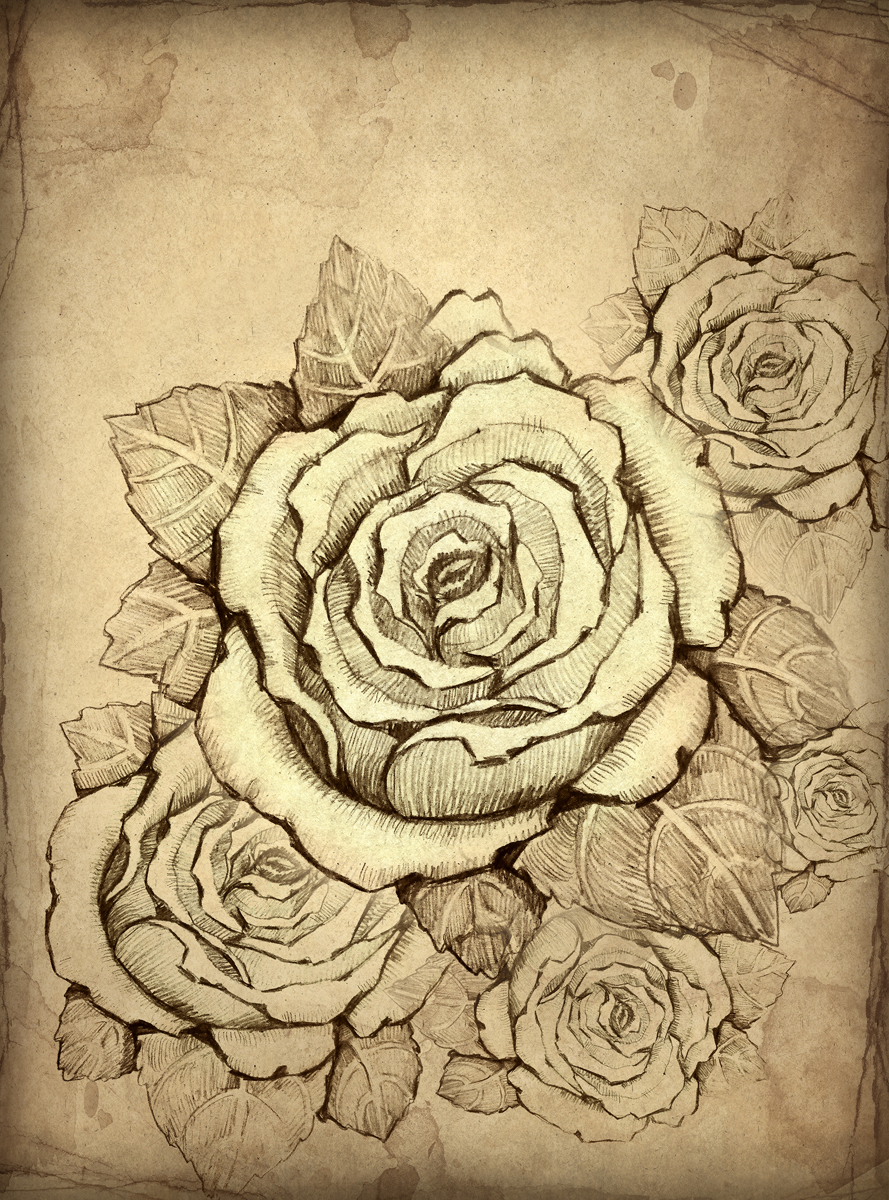 Фотообои Barton Wallpapers Цветы, 200 x 270 см. F09602F09602 Фотообои Barton Wallpapers Цветы, 200 x 270 см. F09602F09602Флизелиновые фотообои Barton Wallpapers Цветы. Превосходное цифровое качество изображения, экологичные, износостойкие, не пахнут, стойки к выцветанию, просты в поклейке. Размер: ширина 200 см, длина 270 см.