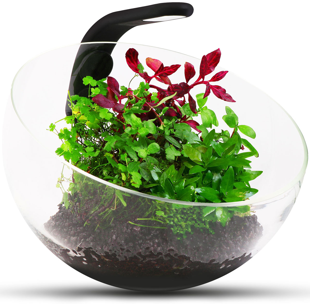 Аквариумный набор AquaLighter Wabi Set0120710 Аквариумный набор AquaLighter Wabi Set0120710Wabi Set - готовое решение для домашнего флорариума. Идеальный выбор для стиля Wabi Kusa и других композиций из растений. Способен стать украшением любого интерьера. В состав набора входит декоративный аквариум, уникальный гибкий светильник Pico Soft черный (без блока питания).