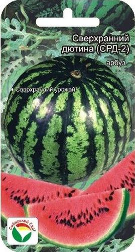 Семена Сибирский сад Арбуз. Сверх ранний Дютина-2, 4 штBP-00000174 Семена Сибирский сад Арбуз. Сверх ранний Дютина-2, 4 штBP-00000174Сорт ультраскороспелый. От всходов до созревания 55-60 дней. Плоды удлиненно-округлые, массой 4-5 кг. Поверхность плода гладкая, слаборебристая, с узкими темно-зелеными шиповатыми полосами на светло-зеленом фоне. Кора толстая, твердая. Мякоть красная, сочная, сладкая. Транспортабельность высокая, лежкость средняя. Сорт устойчив к слабовирулентным расам антракноза, вынослив к мучнистой росе и бахчевой тле. Рекомендуется для возделывания на поливе, подходит для выращивания в защищенном грунте. Урожайность при орошении: 30-35 т/га.