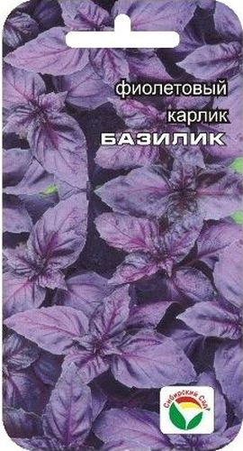 Семена Сибирский сад Базилик. Карлик фиолетовый, 0,5 гBP-00000177 Семена Сибирский сад Базилик. Карлик фиолетовый, 0,5 гBP-00000177Травянистое однолетнее растение, обладающее как пряно-ароматическими, так и лекарственными свойствами. Растение темно-фиолетового цвета, достигает в высоту 30-35 см, имеет великолепный вкус с оттенком запаха душистого перца. Растение великолепно отрастает после срезки. Обладает дезинфицирующим и мочегонным действием, снимает спазмы желудка и способствует укреплению нервной системы, обладает великолепным тонизирующим действием и способствует лучшему перевариванию жиров. Базилик предпочитает легкие плодородные почвы, не переносит переувлажнение и затенение. Сбор урожая производят до и во время цветения. Используют в свежем и сушеном виде для приготовления различных блюд, соусов, а также для ароматизации уксуса и других напитков. Выращивается как через рассаду, так и посевом в грунт. Для ускорения процесса всхожести семян, оздоровления растений, улучшения завязываемости плодов рекомендуется пользоваться специально разработанными стимуляторами роста и...