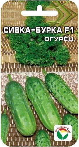 Семена Сибирский сад Огурец. Сивка-Бурка F1BP-00000317 Семена Сибирский сад Огурец. Сивка-Бурка F1BP-00000317Раннеспелый (43-45 дней) партенокарпик, зеленцы длиной 9-11см, черношипые. Идеально подходят для засолки.