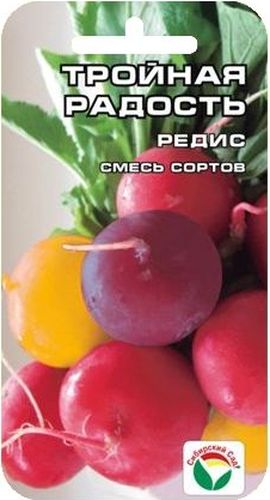 Семена Сибирский сад Редис. Тройная радость, 4 гBP-00000393 Семена Сибирский сад Редис. Тройная радость, 4 гBP-00000393Разноцветная смесь желтого, красного и синего сортов редисов. В смеси подобраны урожайные крупноплодные сорта раннего и среднераннего срока созревания. В случае сложных, неустойчивых погодных условий посев смеси сортов - дополнительная гарантия получения урожая. Через 20-25 дней после посева формируются разноцветные округлые крупные корнеплоды массой 20-25 г. Редисы с белой сочной мякотью, слабоострого и острого вкуса. Смесь устойчива к цветушности, пригодна для выращивания в открытом грунте в ранневесенние и летние сроки. Культура требует равномерного полива весь период вегетации растений и прореживания в начальный период роста. Вес: 4 г.