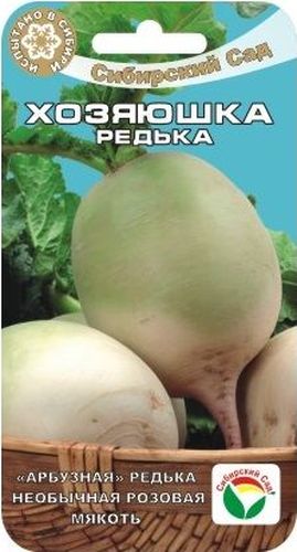 Семена Сибирский сад Редька. Хозяюшка китайская, 1 гBP-00000400 Семена Сибирский сад Редька. Хозяюшка китайская, 1 гBP-00000400Среднеспелый сорт редьки с необычным цветом мякоти. Период от всходов до уборки урожая 65-75 дней. Розетка листьев прямостоячая. Корнеплод цилиндрической формы, длиной 10-12 см, диаметром 7-9 см, со светло-зеленой поверхностью. Мякоть сочная, розовая. Масса корнеплода 100-150 г. Вкусовые качества хорошие. Урожайность 3-3,5 кг/м2. Рекомендуется для выращивания в открытом грунте в летне-осенний период. Корнеплоды хорошо хранятся зимой. Редьку для летнего потребления сеют в начале мая. Для осенне-зимнего - в конце июня-начале июля, рядами, с шириной междурядий 45 см. После прореживания между растениями для летнего потребления оставляют 5 см, для зимнего хранения - 8- 10 см. Уход заключается в регулярных прополках, рыхлениях междурядий (каждые 2 недели), прореживании всходов, удобрении и поливах.