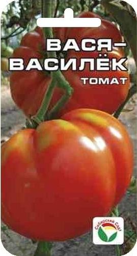 Семена Сибирский сад Томат. Вася-Василек, 20 штBP-00000464 Семена Сибирский сад Томат. Вася-Василек, 20 штBP-00000464В этом новом сорте удачно сочетаются такие достоинства, как крупноплодность (150-200 г), высокая урожайность (8-9 кг с 1 м2), прекрасные вкусовые качества зрелых плодов с высоким содержанием сахаров и сухого вещества. Плоды плоскоокруглые, красные, глянцевые, имеют товарный вид. Томаты плотные, но мякоть очень нежная, сочная. Хороши как в салатах, так и в консервации. Сорт очень терпим к экстремальным погодным условиям, не требует большого ухода и дает прекрасные результаты в открытом грунте. Посев на рассаду производят за 50-60 дней до высадки растений на постоянное место. Оптимальная постоянная температура прорастания семян 23-25°С. При высадке в грунт на 1 м2 размещают 5 растений. Сорт хорошо реагирует на полив и подкормки комплексными минеральными удобрениями. Для ускорения процесса всхожести семян, оздоровления растений, улучшения завязываемости плодов рекомендуется пользоваться специально разработанными стимуляторами роста и развития...