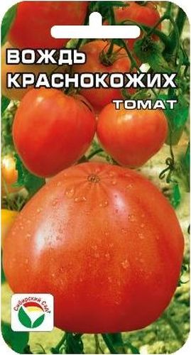 Семена Сибирский сад Томат. Вождь краснокожих, 20 шт19201 Семена Сибирский сад Томат. Вождь краснокожих, 20 шт19201Сорт славится очень вкусными, мясистыми, сахарными плодами розового цвета.Довольно устойчив ко многим грибковым заболеваниям, а также к неблагоприятным погодным условиям. Посев на рассаду производят за 50-60 дней до высадки растений на постоянное место. Оптимальная постоянная температура прорастания семян 23-25°С. При высадке в грунт на 1 м2 размещают 3-4 растения. Сорт хорошо реагирует на полив и подкормки комплексными минеральными удобрениями. Выращивают в 1-2 стебель с подвязкой к опоре и пасынкованием.Для ускорения процесса всхожести семян, оздоровления растений, улучшения завязываемости плодов рекомендуется пользоваться специально разработанными стимуляторами роста и развития растений.