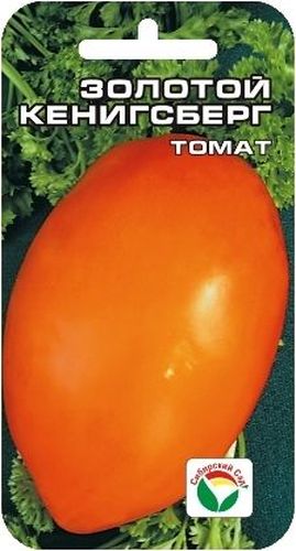 Семена Сибирский сад Томат. Золотой Кенигсберг, 20 штBP-00000520 Семена Сибирский сад Томат. Золотой Кенигсберг, 20 штBP-00000520Среднеспелый сорт для теплиц и пленочных укрытий. Растение индетерминантное, высотой 1,5-1,8 м, в открытом грунте 1,2-1,5 м. Характеризуется хорошей завязываемостью плодов в теплице. Соцветия формируются через лист. Сорт обильный, на кисти до 5-6 плодов овально- удлиненной формы, золотистого цвета, массой до 300 г, первые до 450 г. Плоды очень ровные, плотные, малосеменные. Прекрасно подходят для употребления в свежем виде и цельно-плодного консервирования.