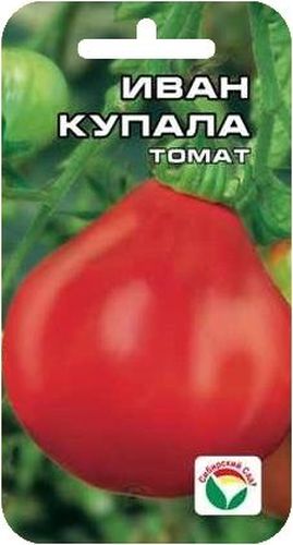 Семена Сибирский сад Томат. Иван Купала, 20 штBP-00000521 Семена Сибирский сад Томат. Иван Купала, 20 штBP-00000521Замечательный среднеспелый засолочный сорт для открытого грунта и пленочных теплиц. Сорт сочетает оригинальную форму плода (тип крупного трюфеля) с редкой малиновой окраской. Высота растения - 1-1,6 м, в кисти завязывается до 7 крупных плотных томатов массой до 190 г. Сорт обладает стабильно хорошей урожайностью. Зрелые плоды не растрескиваются и могут храниться в комнатных условиях до 10 дней. Примечательно, что этот идеально- засолочный сорт настолько хорош по вкусу в свежем виде, что его с большим удовольствием употребляют и в летних салатах. Урожайность сорта - до 3 кг с растения. Посев на рассаду производят за 50-60 дней до высадки растений на постоянное место. Оптимальная постоянная температура прорастания семян 23-25°С. При высадке в грунт на 1 м2 размещают 3-4 растения. Сорт хорошо реагирует на полив и подкормки комплексными минеральными удобрениями. Выращивают в 1-2 стебля с подвязкой и пасынкованием. Для ускорения процесса всхожести семян,...