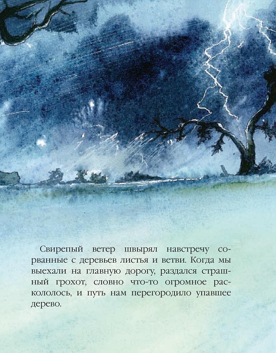 Любимая книжка мальчиков. Любимая книга для девочек. Новинки.