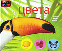 опубликованное пользователем изображение