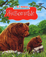 опубликованное пользователем изображение