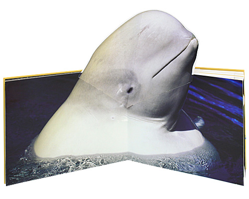 энциклопедии интересные не только детям))))))))