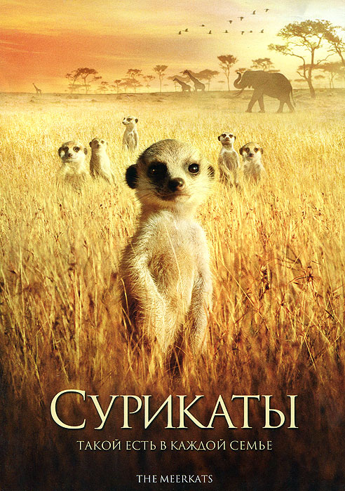 математика 1 класс моро выпуск 2012 ответы страница для любознательных страница 118 задача